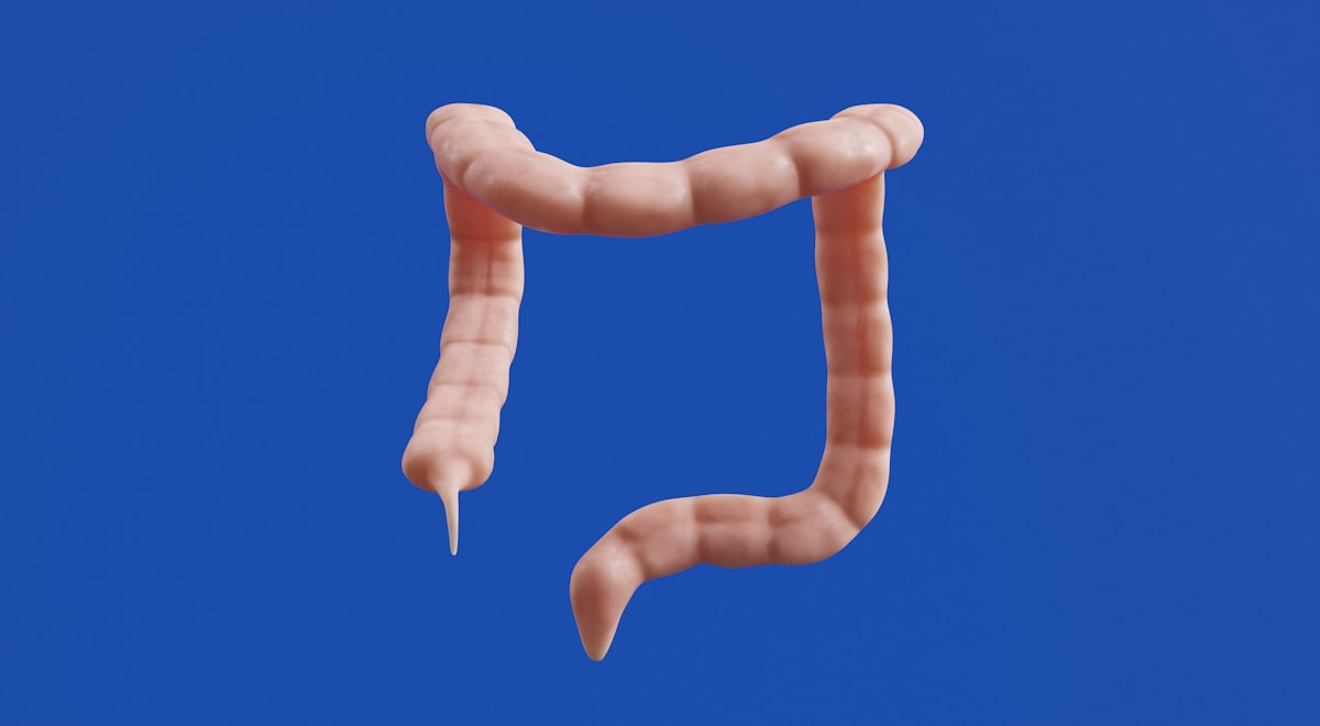 Impacto del estrés en la microbiota